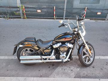 Harley Davidson softail standard 2023