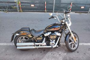 Harley Davidson softail standard 2023