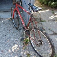 bicicletta montabike 