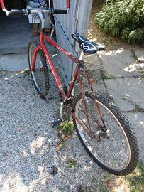 bicicletta montabike 