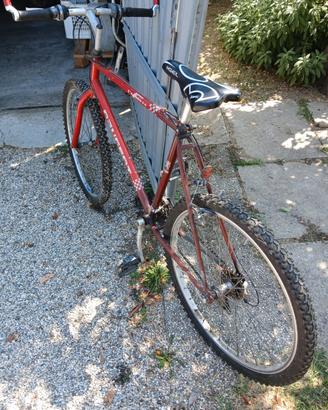 bicicletta montabike 