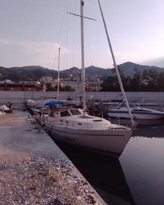 Franchini Adriatico 37 sloop