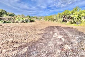 Lotti di terreno a Cruillas