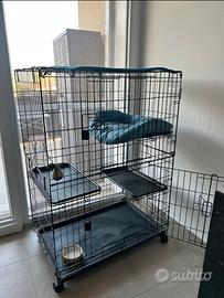 gabbia