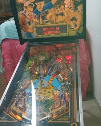 Flipper da bar gilligans island