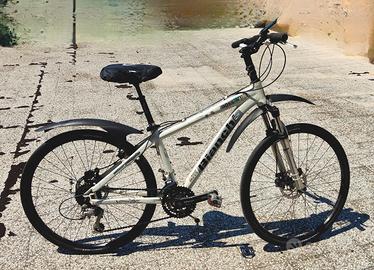M. B. Bianchi Doss 6100