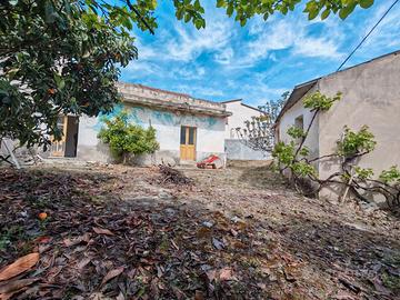 Casa indipendente con ampio giardino