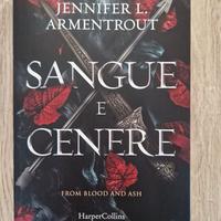 Libro Sangue e Cenere 