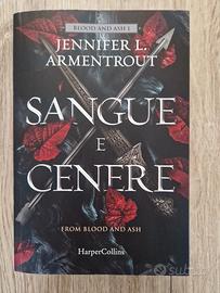 Libro Sangue e Cenere 