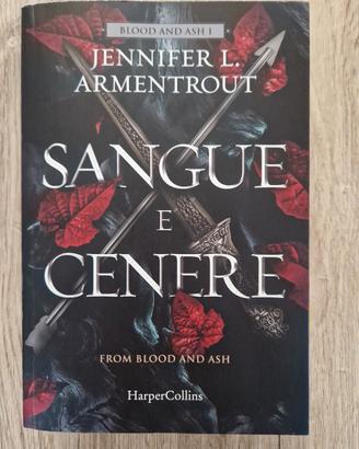 Libro Sangue e Cenere 