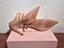 Immagine 6