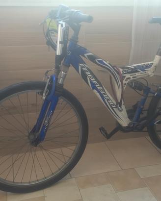 bicicletta