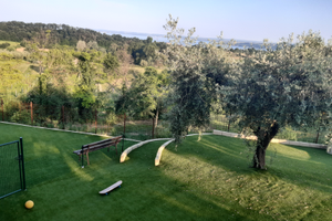 Trilocale vista lago - Garda lake