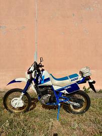 Suzuki Dr 600 Djebel 1988