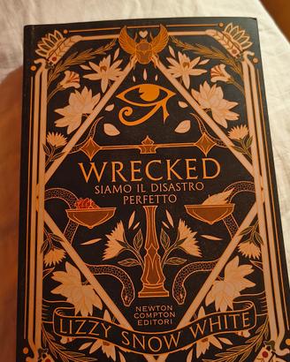 Wrecked (Siamo Un Disastro Perfetto)