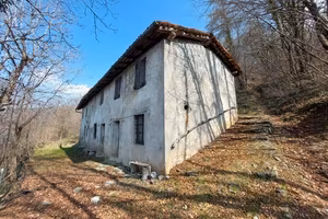 Rustico con 15.000 mq di terreno tra prato e bosco
