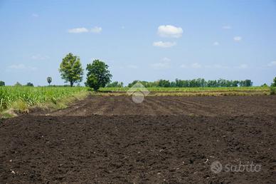 TERRENO A MARTINENGO
