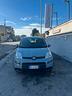 fiat-panda-panda-iii-2021-1-0-firefly-hybrid-city