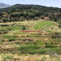 Terreno, Gratteri.