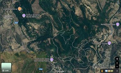 Adatto biodiversità terreno sul Monte Minerva