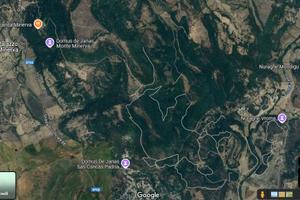 Adatto biodiversità terreno sul Monte Minerva