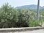 Immagine 18