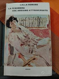 La penombra che abbiamo attraversato 