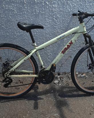 bicicletta con marce 