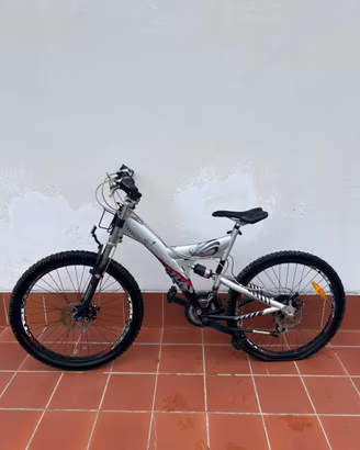 mountain bike biammortizzata