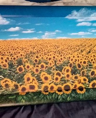 quadro con girasoli