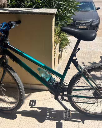 Bicicletta