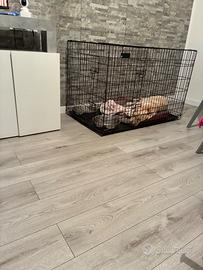 Kennel