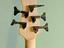 Immagine 5