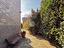 Immagine 25