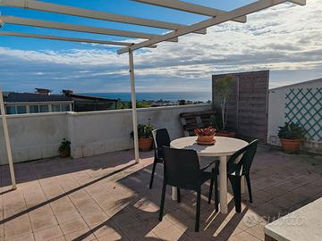 Bivani con terrazzo 680 euro