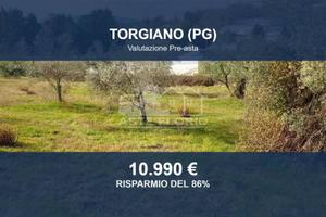 Immobile in asta di 588 m² a Torgiano