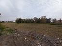 sestu-terreno-industriale-mq-5490