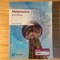 Matematica - Angelo Guerraggio (terza ed.)