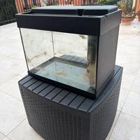 Acquario 40 litri
