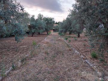 Terreno ss 124 con immobile 2 piani