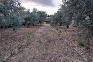 Terreno ss 124 con immobile 2 piani