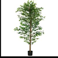 PIANTE Ficus Artificiali  NUOVE   (Alta Qualità)