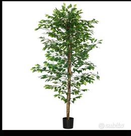 PIANTE Ficus Artificiali  NUOVE   (Alta Qualità)