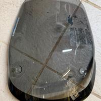 Cupolino Fumè BMW F650 GS