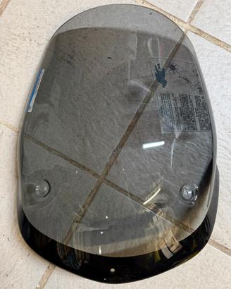 Cupolino Fumè BMW F650 GS