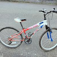 Bicicletta  Bottecchia 