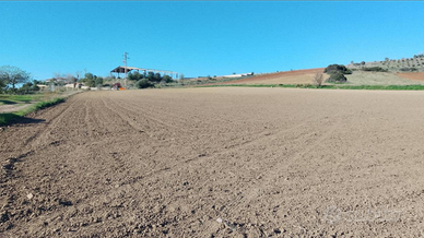Terreno agricolo zona E