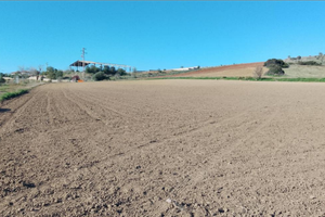 Terreno agricolo zona E
