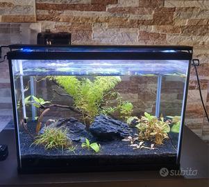 Acquario 20L pronto all'uso