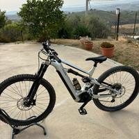 Ebike cannondale